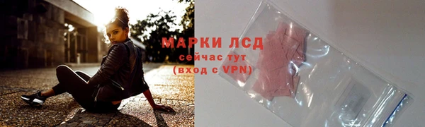 spice Богданович